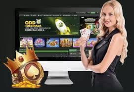 Healthy daily entertainment pacing on bd 2025 with time and budget awareness